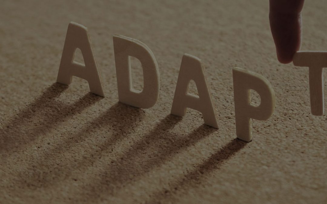 Mentalist and bestselling author Gilan Gork guides us through High-Performance Mentality