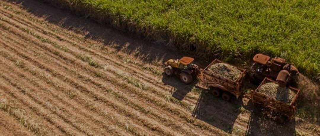 Tongaat Hulett enters business rescue as lenders run out of patience