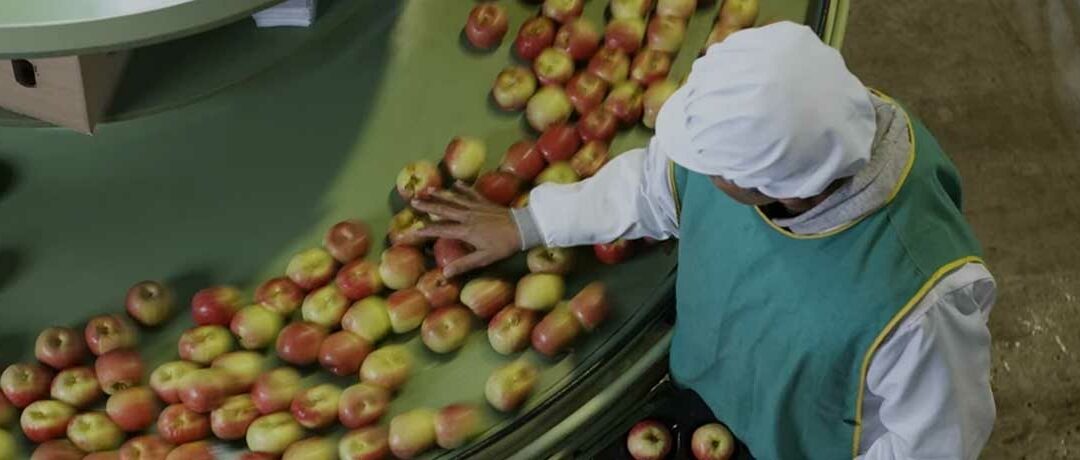 With Transnet ports still in trouble, SA fruit exporters turn to planes instead