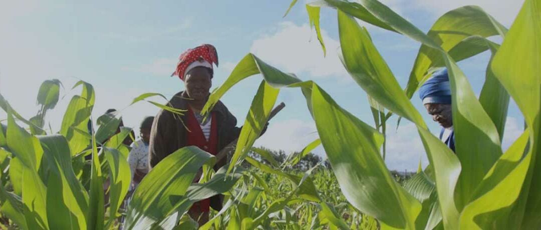 Unresolved default still handicaps Land Bank despite turnaround