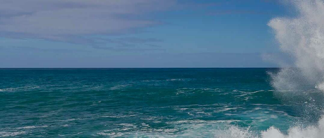 Administration as a mechanism for reviving stalled real estate projects