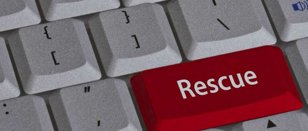 Business rescue requires a will to survive