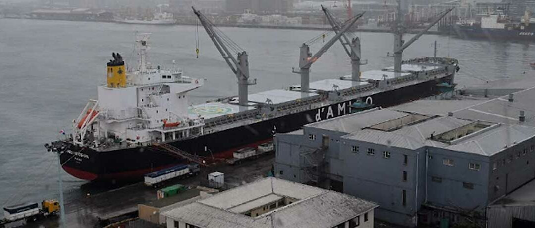 Flickers of hope for Cape Town port