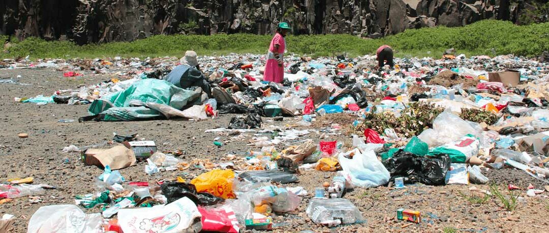 South Africans are bailing on government services