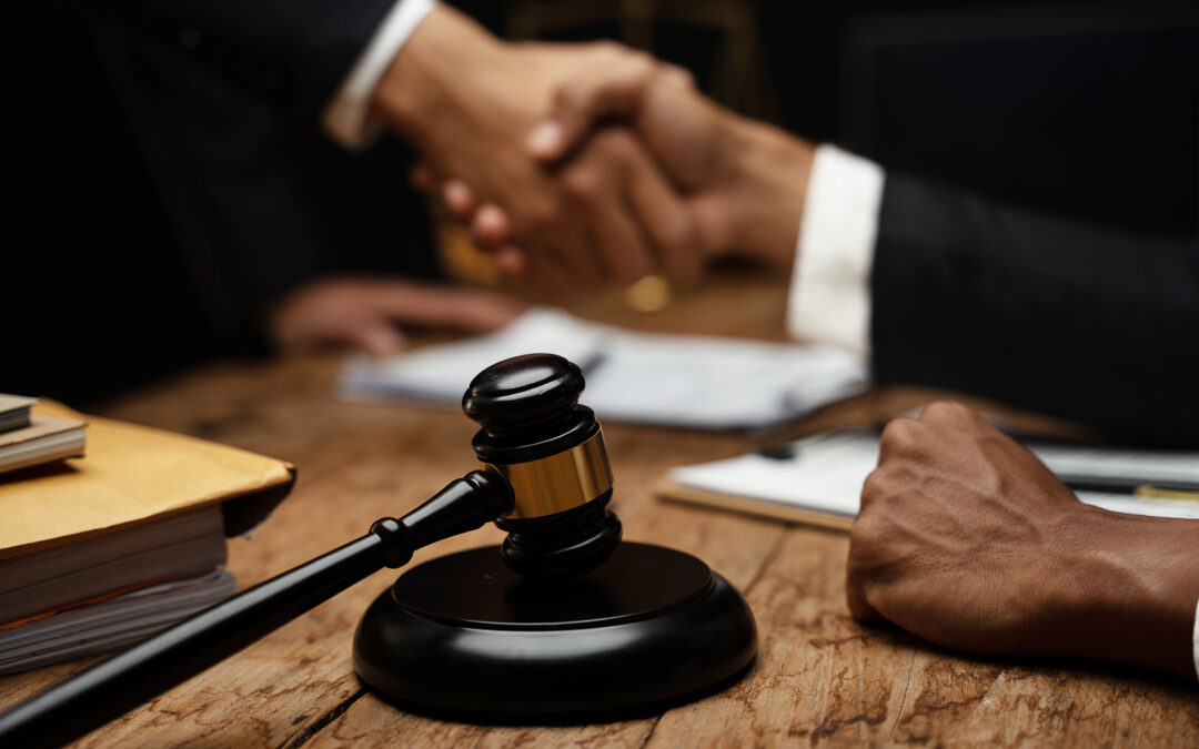 A Landmark Development: How the dedicated insolvency court will enhance business rescue in South Africa